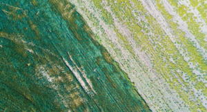 God’s People in Exile