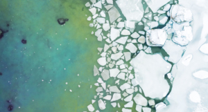 Living as Dual Citizens