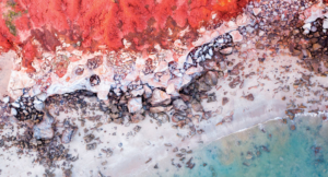 Living in These Last Days