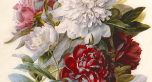 Raising Future Husbands and Wives