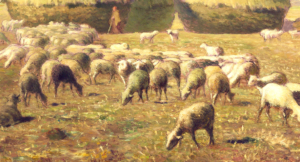 The Shepherd Feeds His 5,000 Sheep