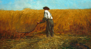 Why Does Paul Call the Church God’s Field?