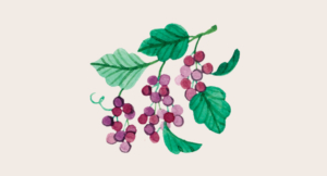 How Gratefulness Shapes Our Service