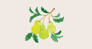 Gratefulness in Prayer