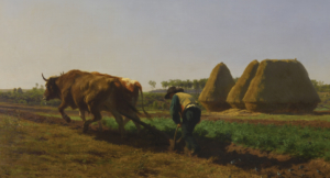 Discerning and Stewarding God&rsquo;s Call for My Life