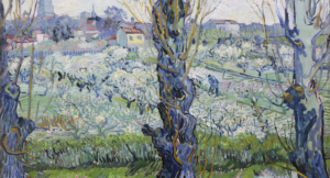 How Can I Know if I Am Elect?