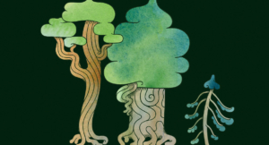 Fear of Not Measuring Up