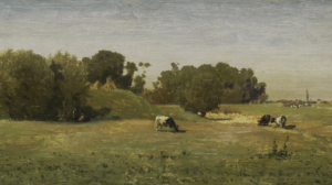 Practicing Amazement