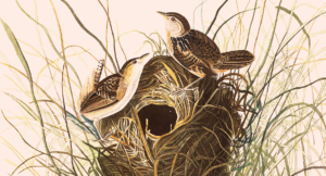 God’s Providence Summarized in The Westminster Confession