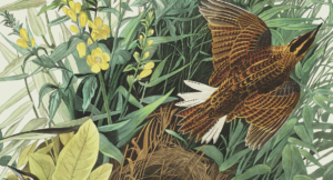 God’s Providence Applied in Our Lives