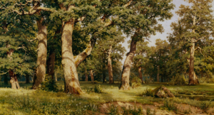 Looking for Assurance in the Right Places