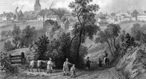 The Value of Human Life