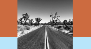 Serving Hostile Authorities