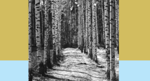 In the Presence of My Enemies