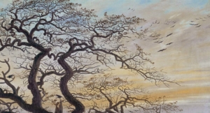 Songbirds Fly at Night