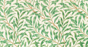 Why Was Stephen Stoned?