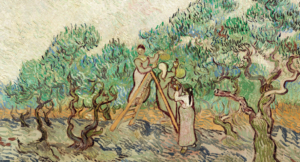 An Evangelistic Optimism