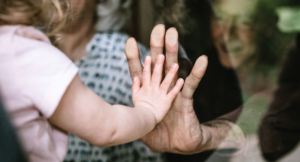 Being Subject to Authorities as Light and Salt