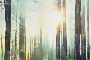 Why Do You Call Me Good?