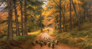 Objections and Questions concerning Church Discipline