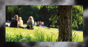 The Temptation of Self-Trust