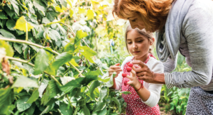 The Lack of a Christian Mindset