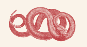 The Serpent and the Dragon