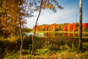 Our Hearts Are Made for Thanksgiving