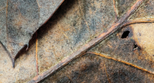 The Dangers of Hypocrisy