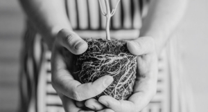 Stewarding Our Treasures