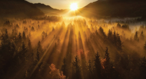 What Is a Chief End?