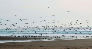 Glorifying and Enjoying God in All of Life