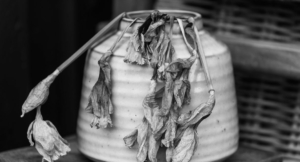 Comfort in the Church