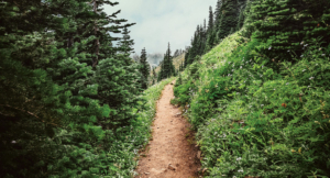 Christ in the Wilderness